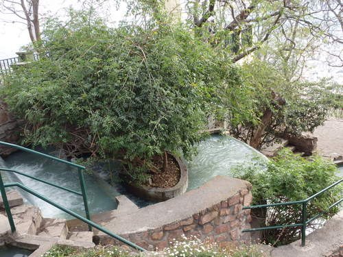 Mountain Top City Park.